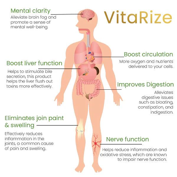 VitaRize™ Detox Foot Patch image 4