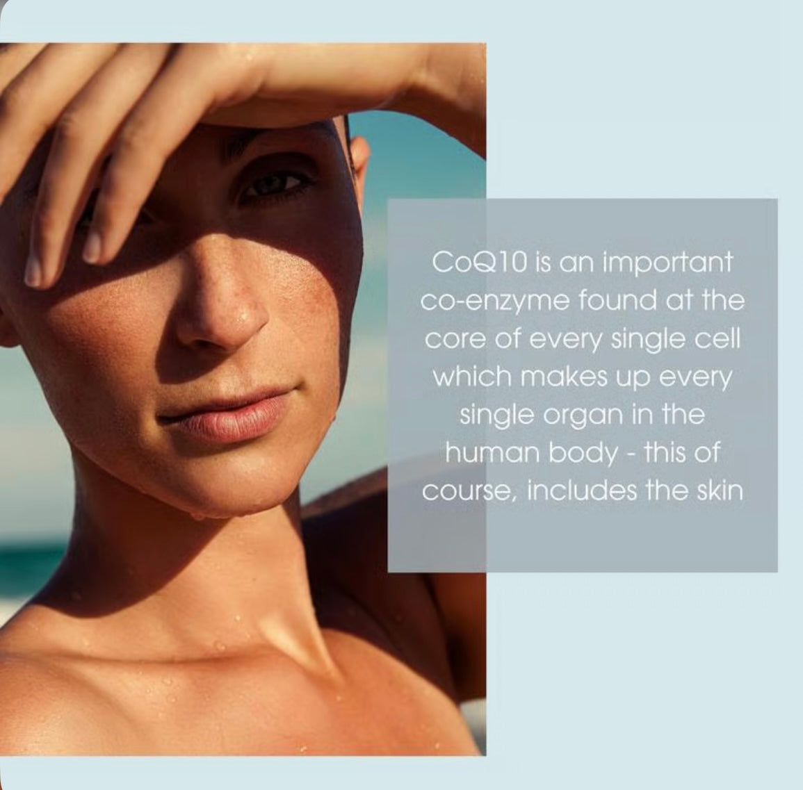 Topical Co-Enzyme Q10 Serum – Antioxidant Powerhouse image 3