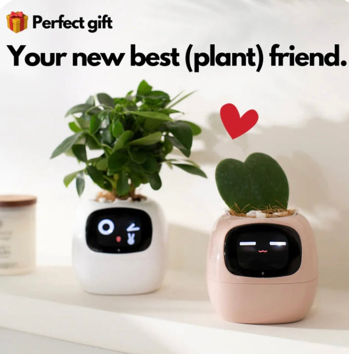 SMART PET PLANTER image 1