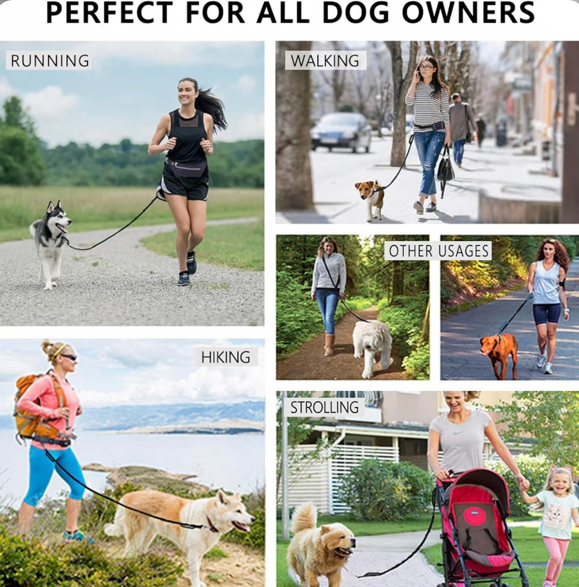 Hands Free Dog Leash with Zipper Pouch image 4