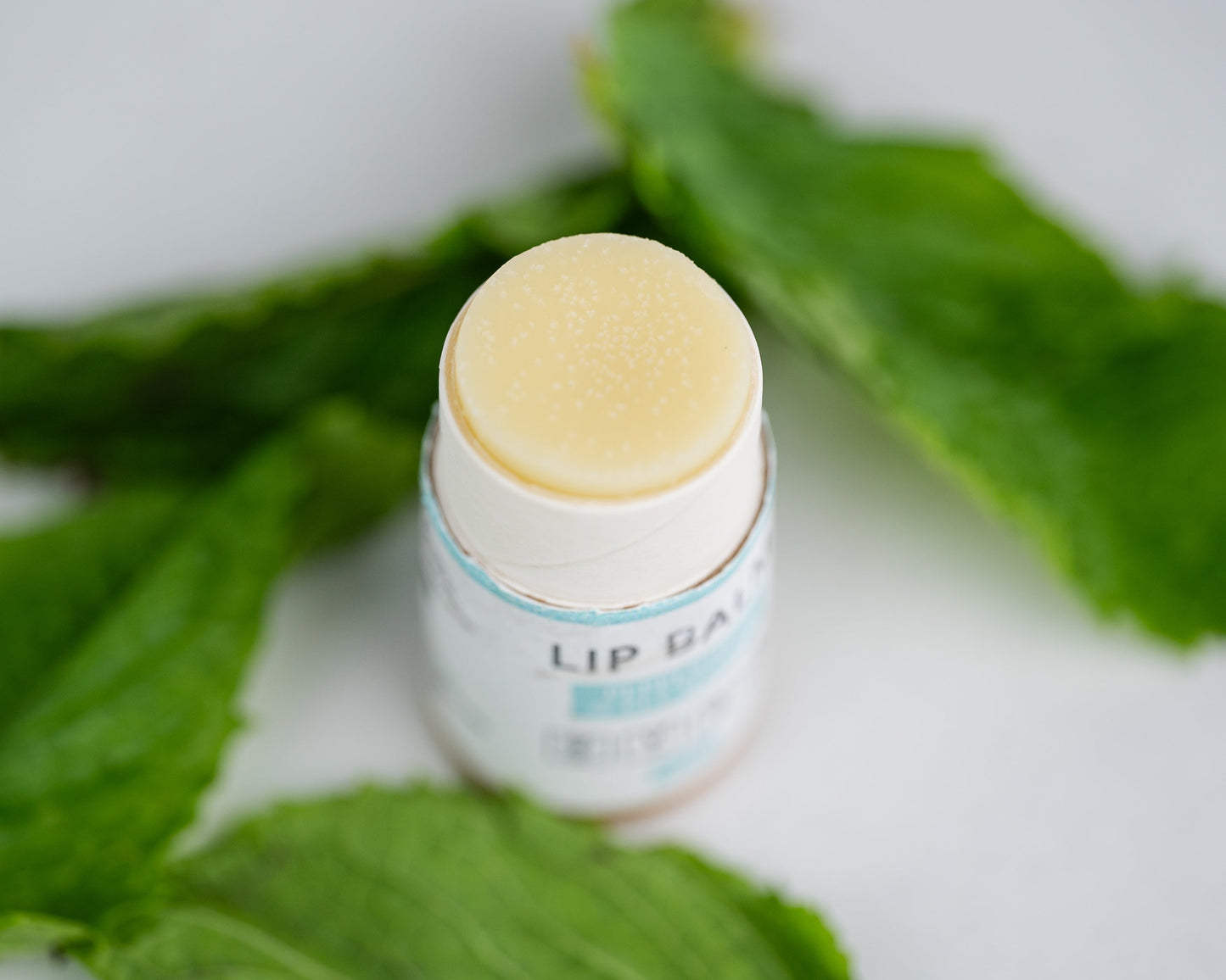Lip Balm image 9