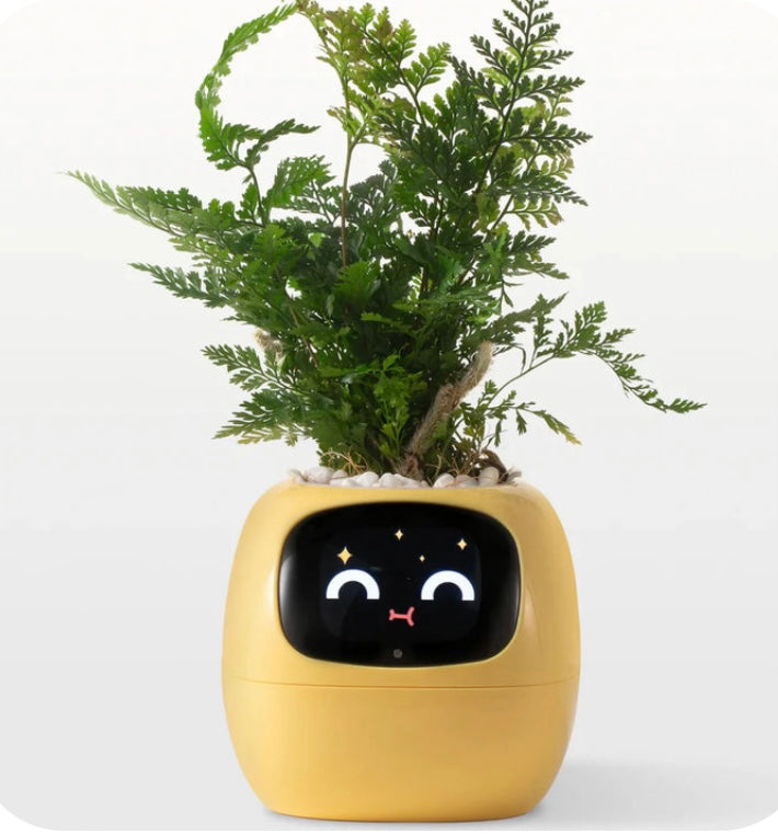 SMART PET PLANTER image 3