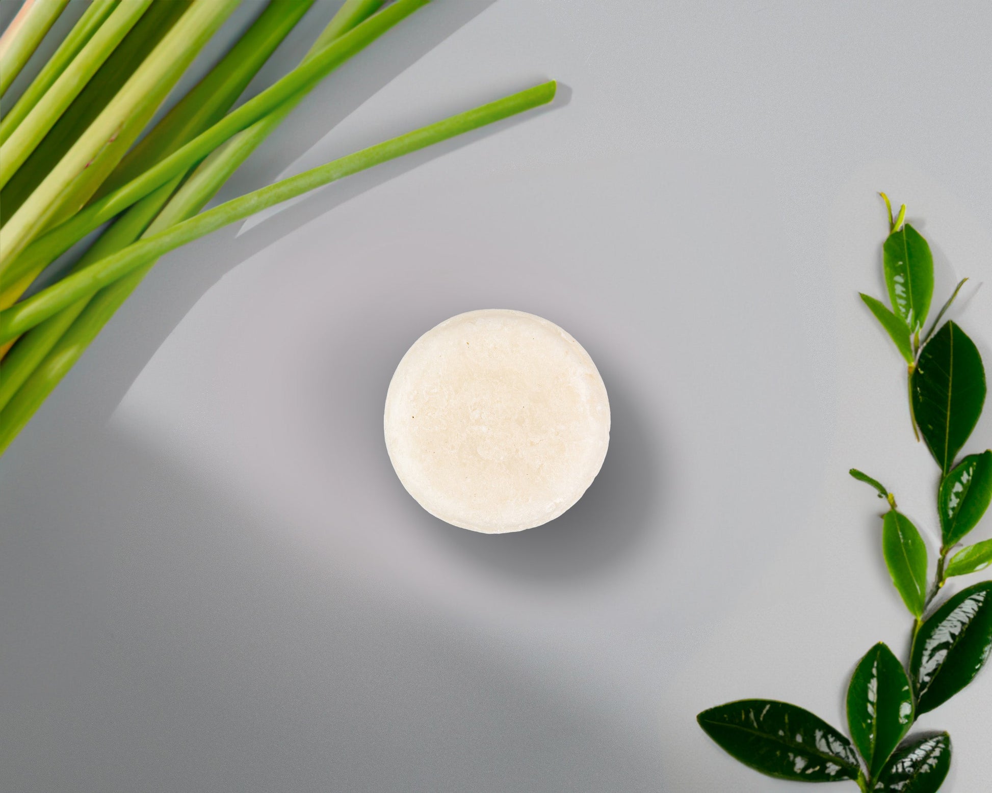 Sulfate-Free Shampoo Bar image 2