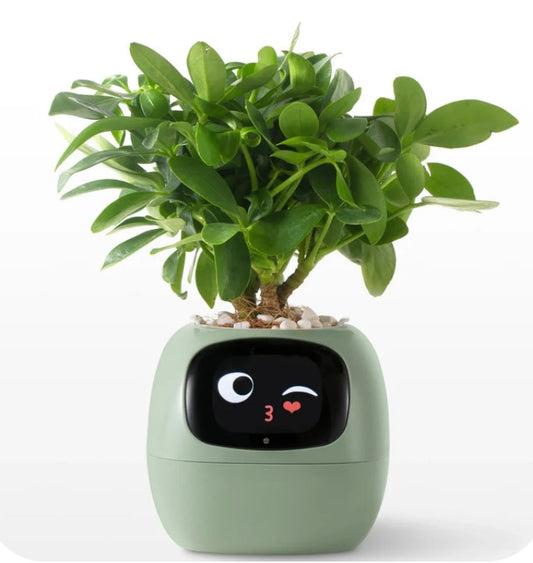 SMART PET PLANTER image 0